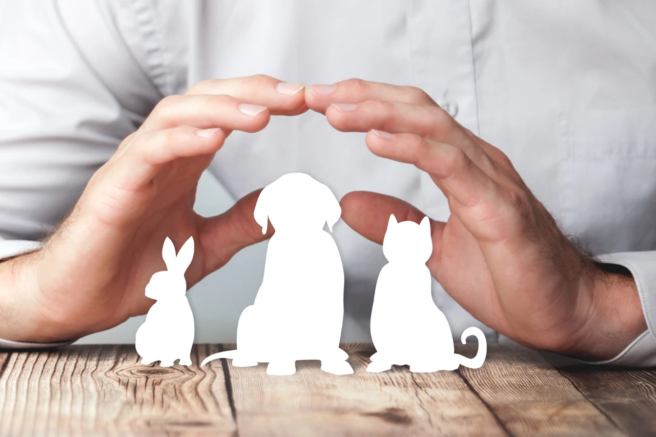 Seguros de mascotas img